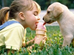 момиче яде сладолед с куче и се заразява с паразити